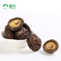 dry mushroom---dry lentinus edodes